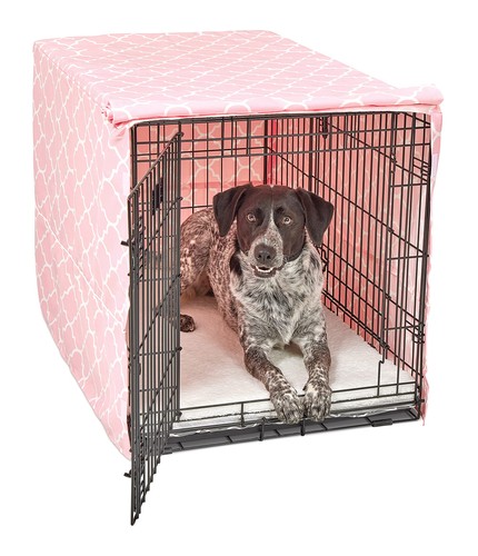 New world intermediate dog - new,