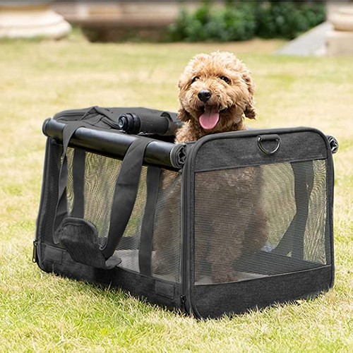 Large pet dog cat puppy - large,